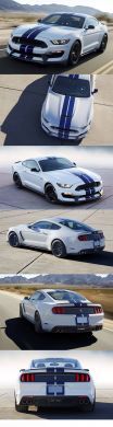 MUSTANG SHELBY GT350 FRONT AND REAR BUMPER